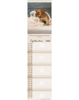 Calendrier Pour vous 2026 - Librairie 7 ici
