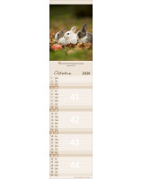 Calendrier Pour vous 2026 - Librairie 7 ici