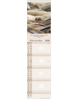 Calendrier Pour vous 2026 - Librairie 7 ici