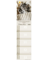 Calendrier Pour vous 2026 - Librairie 7 ici