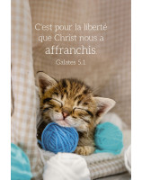 Carte calendrier Chat 2026 - Librairie 7 ici