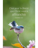 Carte calendrier Oiseau 2026 - Librairie 7 ici