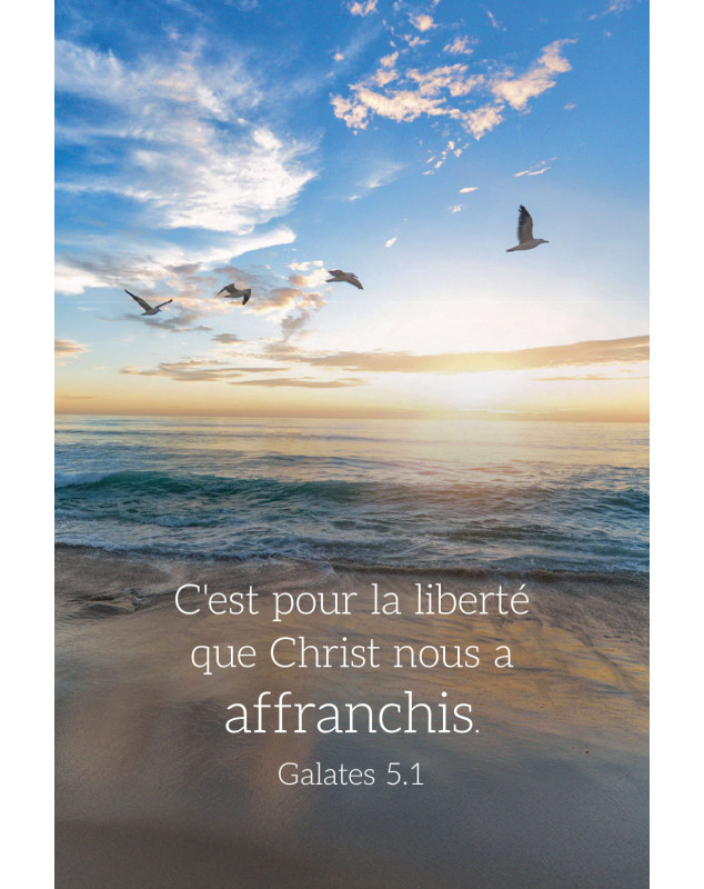 Carte calendrier Paysage 2026 - Librairie 7 ici