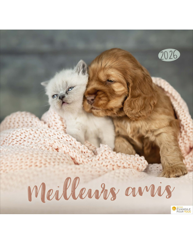Calendrier Meilleurs Amis 2026 - Librairie 7 ici Calendrier Meilleurs Amis 2026 - Librairie 7 ici