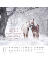 Calendrier Meilleurs Amis 2026 - Librairie 7 ici