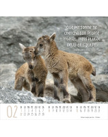 Calendrier Meilleurs Amis 2026 - Librairie 7 ici