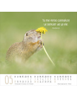 Calendrier Meilleurs Amis 2026 - Librairie 7 ici