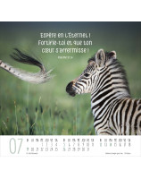 Calendrier Meilleurs Amis 2026 - Librairie 7 ici