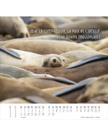 Calendrier Meilleurs Amis 2026 - Librairie 7 ici