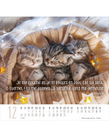 Calendrier Meilleurs Amis 2026 - Librairie 7 ici