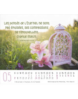 Calendrier Merci 2026 - Librairie 7 ici