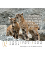 Calendrier Rencontres 2026