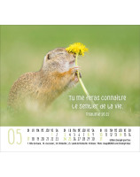 Calendrier Rencontres 2026