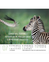 Calendrier Rencontres 2026