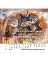 Calendrier Rencontres 2026