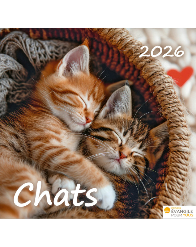 Calendrier Chats 2026 - Librairie 7 ici