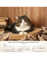 Calendrier Chats 2026 - Librairie 7 ici