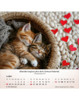 Calendrier Chats 2026 - Librairie 7 ici