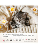 Calendrier Chats 2026 - Librairie 7 ici