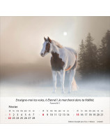 Calendrier Chevaux 2026 - Librairie 7 ici