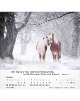 Calendrier Chevaux 2026 - Librairie 7 ici