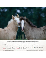 Calendrier Chevaux 2026 - Librairie 7 ici