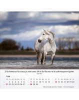 Calendrier Chevaux 2026 - Librairie 7 ici