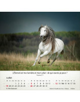 Calendrier Chevaux 2026 - Librairie 7 ici
