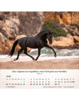 Calendrier Chevaux 2026 - Librairie 7 ici