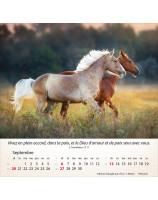 Calendrier Chevaux 2026 - Librairie 7 ici