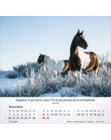 Calendrier Chevaux 2026 - Librairie 7 ici