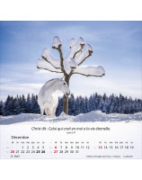 Calendrier Chevaux 2026 - Librairie 7 ici