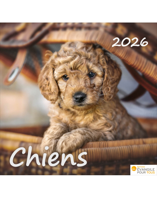 Calendrier Chiens 2026 - Librairie 7 ici Calendrier Chiens 2026 - Librairie 7 ici