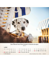 Calendrier Chiens 2026 - Librairie 7 ici