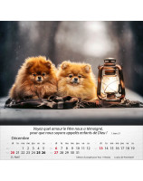 Calendrier Chiens 2026 - Librairie 7 ici