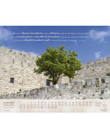 Calendrier Israël Shalom Merveilles 2026 - Librairie 7 ici