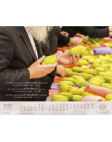 Calendrier Israël Shalom Merveilles 2026 - Librairie 7 ici