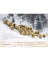 Calendrier Le bon berger 2026 - Librairie 7 ici