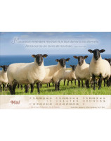 Calendrier Le bon berger 2026 - Librairie 7 ici