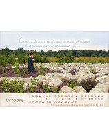 Calendrier Le bon berger 2026 - Librairie 7 ici