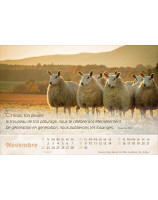 Calendrier Le bon berger 2026 - Librairie 7 ici