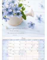 Calendrier Moments de joie 2026 - Librairie 7 ici