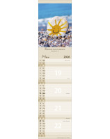 Calendrier Pour tous 2026 - Librairie 7 ici
