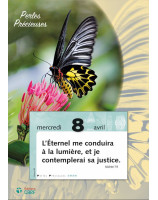 Perles Précieuses - Plaque 2026 - Librairie 7 ici
