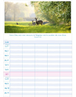Calendrier Multiplanning 2026 - Librairie 7 ici