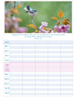 Calendrier Multiplanning 2026 - Librairie 7 ici