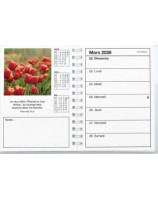 Agenda color 2026 - Librairie 7 ici