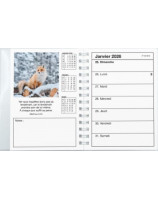 Agenda color 2026 - Librairie 7 ici