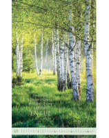 Poster calendrier 2026 - Librairie 7 ici