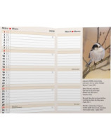 Agenda international 2026 - Librairie 7 ici